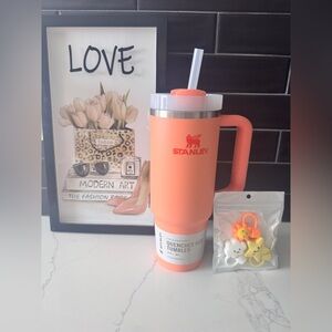 BRAND NEW Stanley Orange Tumbler